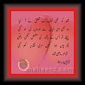 Wasi Shah-Trke 01 * 22.03.2008 * 462 x 362 * (23KB)